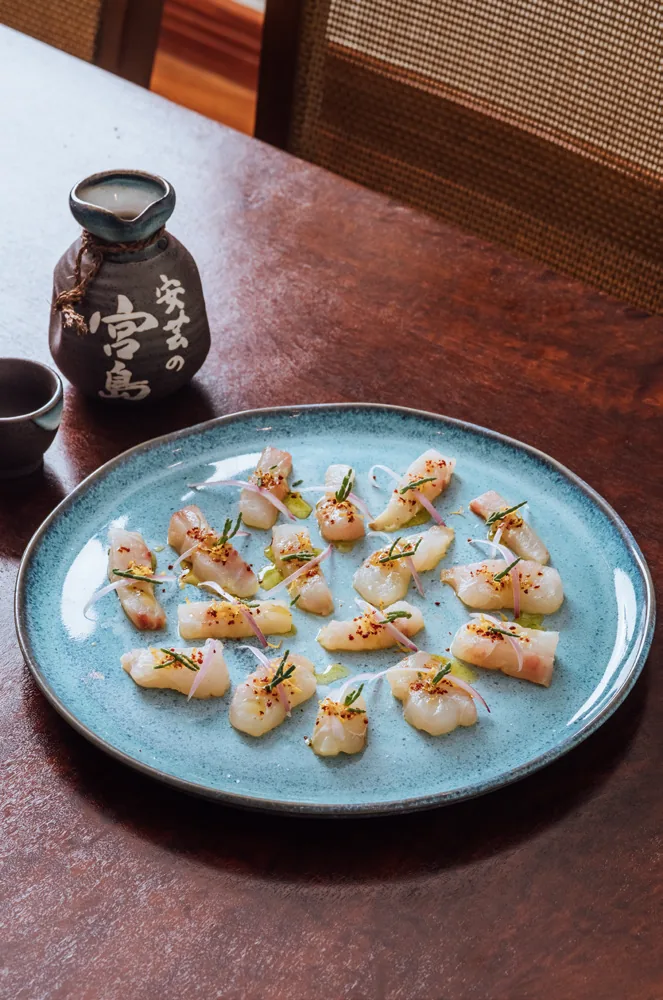 Crudo de peixe, salicórnia, tucupi e azeite